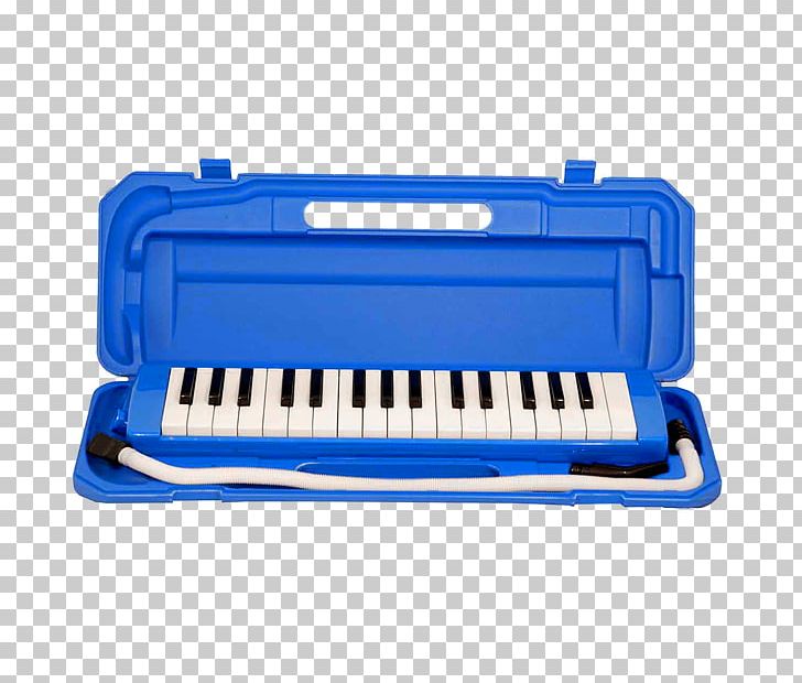 Melodica Brazil Musical Instruments Keyboard PNG, Clipart, Accordion, Brazil, Dolphin, Electric Blue, Flute Free PNG Download