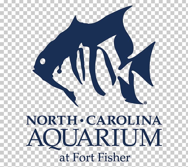 North Carolina Aquarium At Pine Knoll Shores North Carolina Aquarium On Roanoke Island Outer Banks North Carolina Aquarium At Fort Fisher North Carolina Aquariums PNG, Clipart,  Free PNG Download