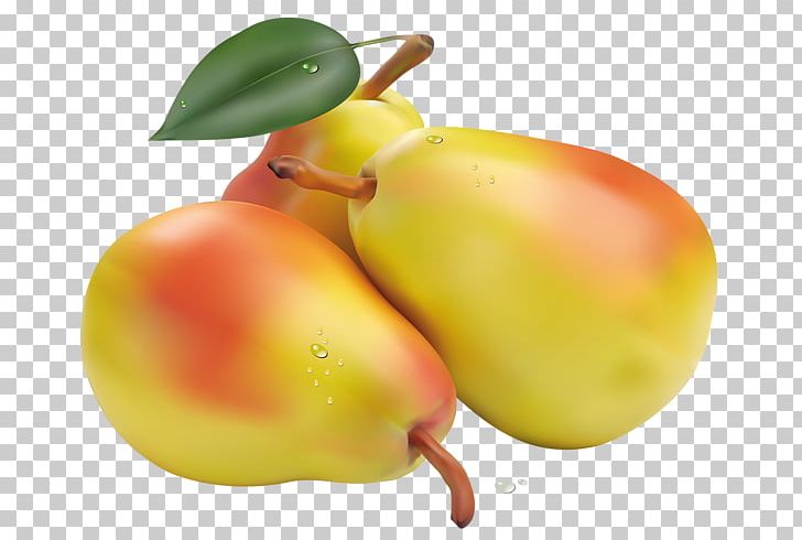 Pear Fruit PNG, Clipart, Accessory Fruit, Apple, Apricot, Blackcurrant, Food Free PNG Download