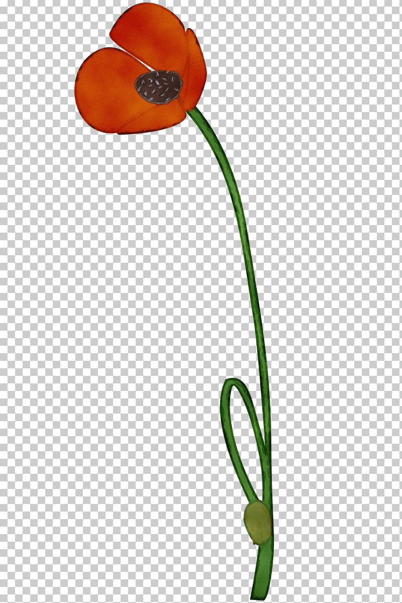 Plant Flower Tulip Plant Stem PNG, Clipart, Flower, Paint, Plant, Plant Stem, Tulip Free PNG Download