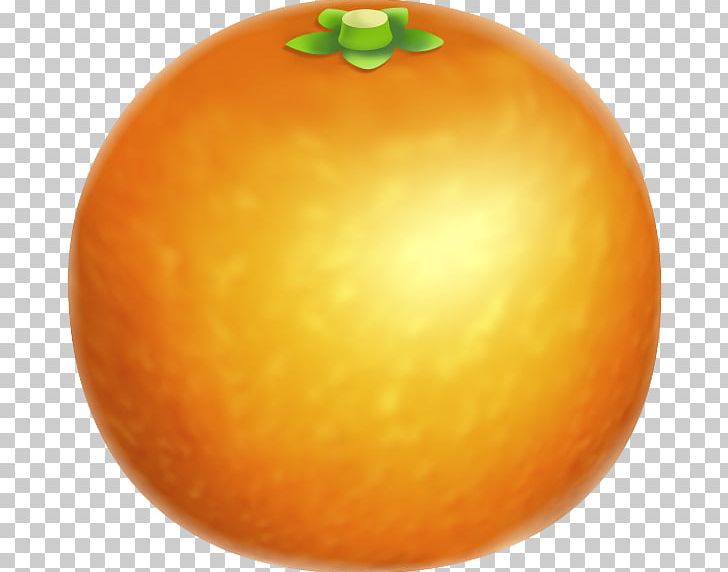 Clementine Tangerine Mandarin Orange Grapefruit PNG, Clipart, Animal Crossing, Animal Crossing New Leaf, Citrus, Clementine, Coconut Free PNG Download