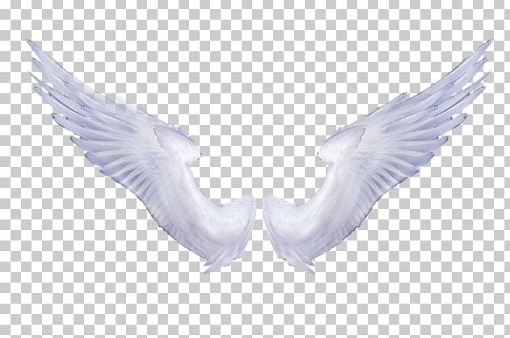Document PNG, Clipart, Angel, Angel Wings, Animation, Beak, Bird Free PNG Download