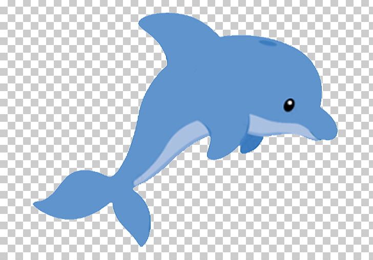 Dolphin Drawing PNG, Clipart, Beak, Bottlenose Dolphin, Coloring Book, Common Bottlenose Dolphin, Cuteness Free PNG Download