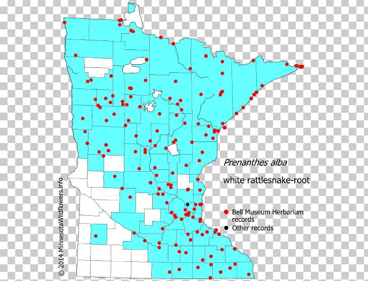 Line Point Angle Map Tuberculosis PNG, Clipart, Angle, Area, Art, Line, Map Free PNG Download