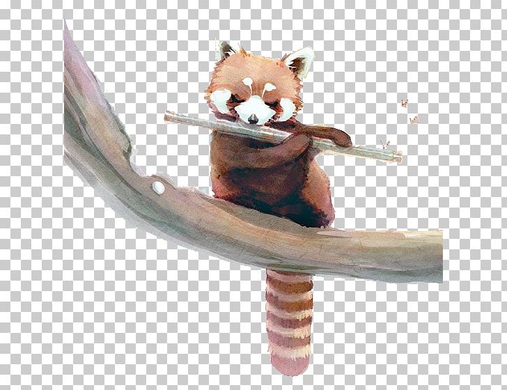 Red Panda The Giant Panda Bear Crane PNG, Clipart, 3d Animation, Animal, Animation, Anime Character, Anime Eyes Free PNG Download