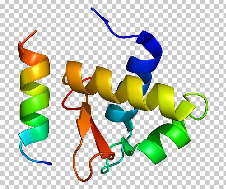 Replication Protein A2 Single-stranded Binding Protein DNA Replication PNG, Clipart, Area, Artwork, Dna, Dnabinding Domain, Dna Repair Free PNG Download