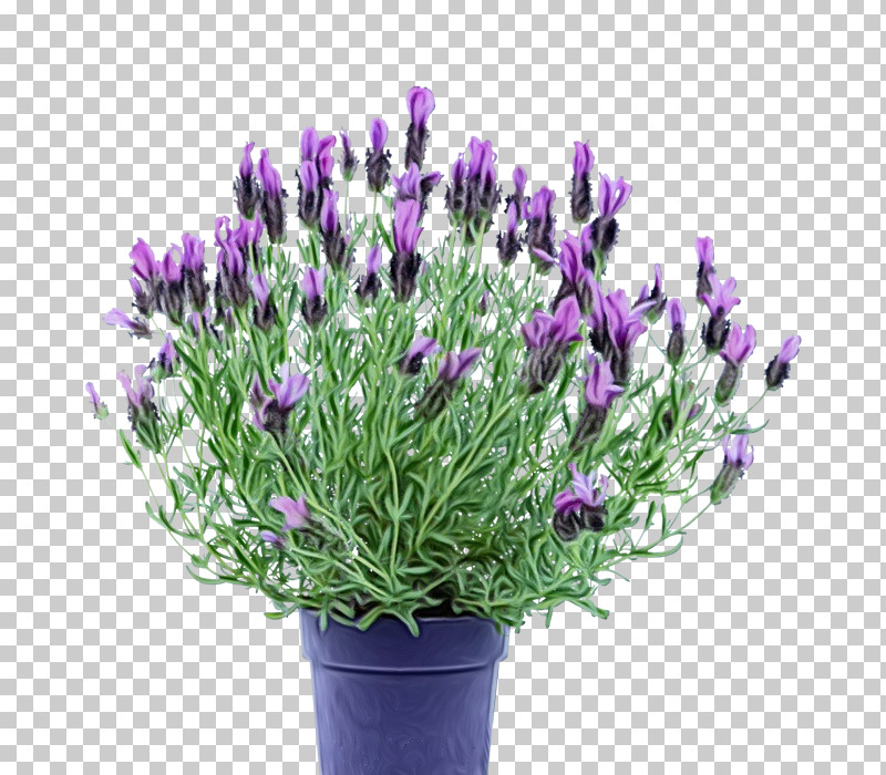 Artificial Flower PNG, Clipart, Artificial Flower, Cut Flowers, English Lavender, Flower, Flowerpot Free PNG Download