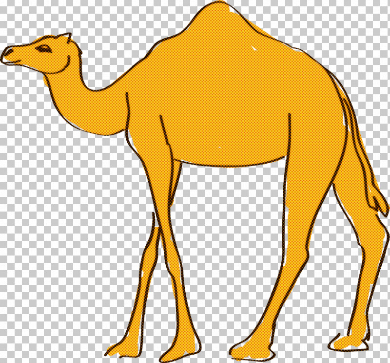 Dromedary Cartoon Drawing Action Figure Mascot PNG, Clipart, Action Figure, Animal Figurine, Camels, Cartoon, Computer Free PNG Download