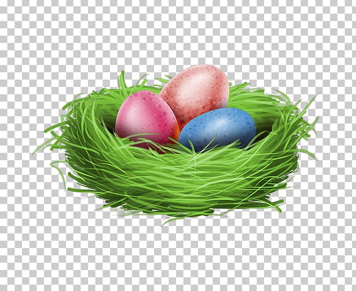 Easter Bunny Easter Egg PNG, Clipart, Blog, Breakfast, Chickadee, Easter, Easter Bunny Free PNG Download