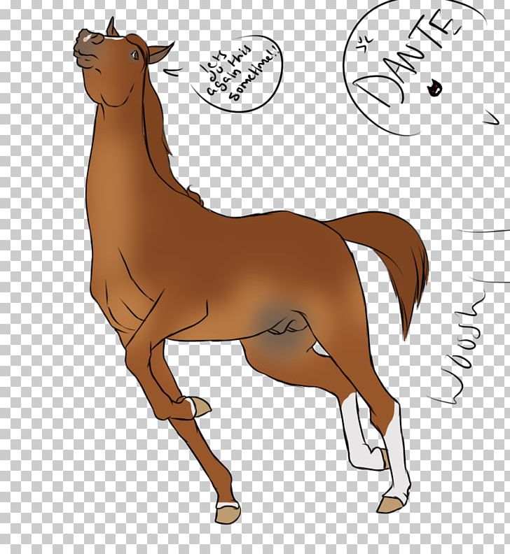 Mustang Foal Stallion Halter Camel PNG, Clipart,  Free PNG Download