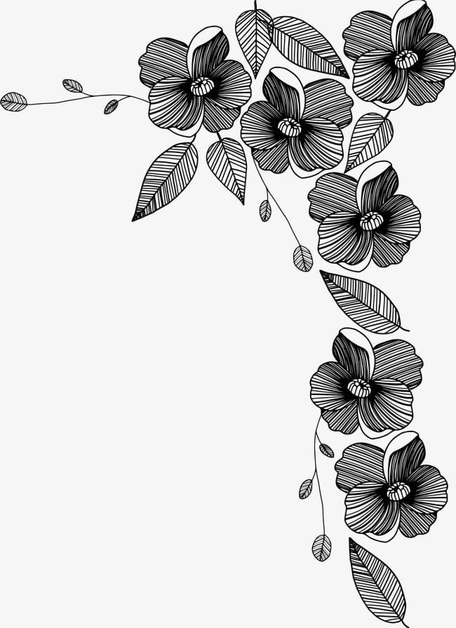 Painted Black Flowers PNG, Clipart, Abstract, Backgrounds, Black, Black Clipart, Botany Free PNG Download