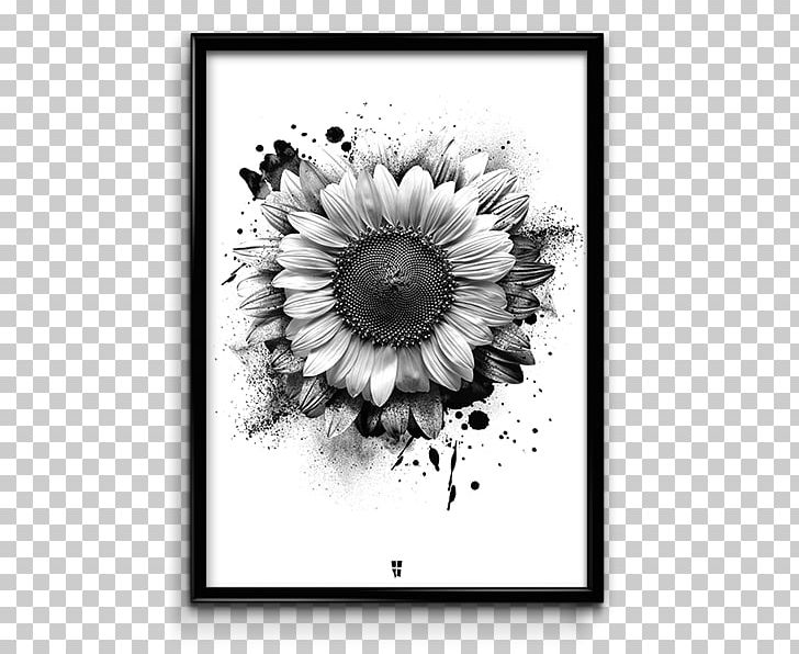 Poster Omega Phi Beta Monochrome Photography PNG, Clipart, Art, Artwork, Black And White, Chrysanths, Daisy Family Free PNG Download