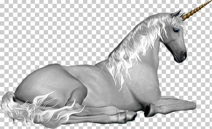 Unicorn Mythology Fairy Pegasus Legendary Creature PNG, Clipart, Black And White, Bouc, Duende, Fairy, Fantasy Free PNG Download