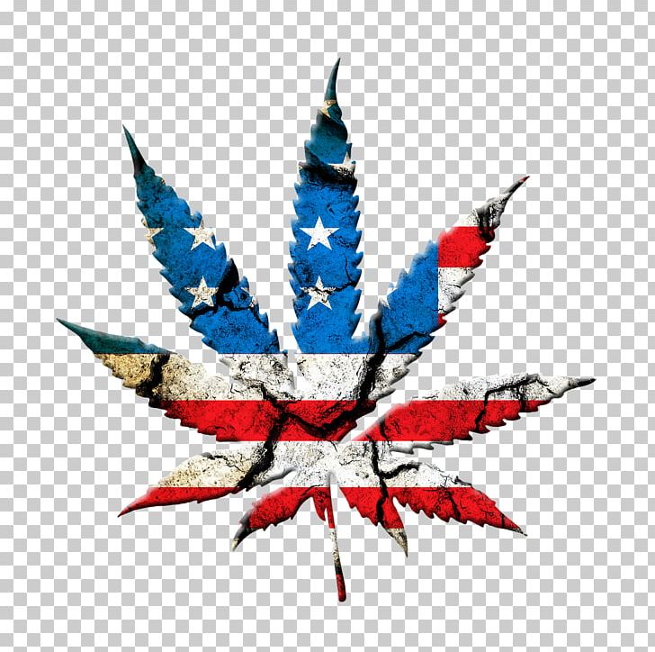 United States Medical Cannabis Legality Of Cannabis Legalization PNG, Clipart, 420 Day, Cannabis, Cannabis Culture, Cannabis Industry, Cannabis In Florida Free PNG Download