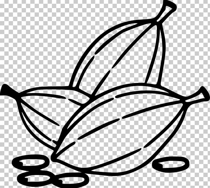 White Chocolate Cocoa Bean PNG, Clipart, Artwork, Bean, Beans Beans The Musical Fruit, Black And White, Cacao Bean Free PNG Download