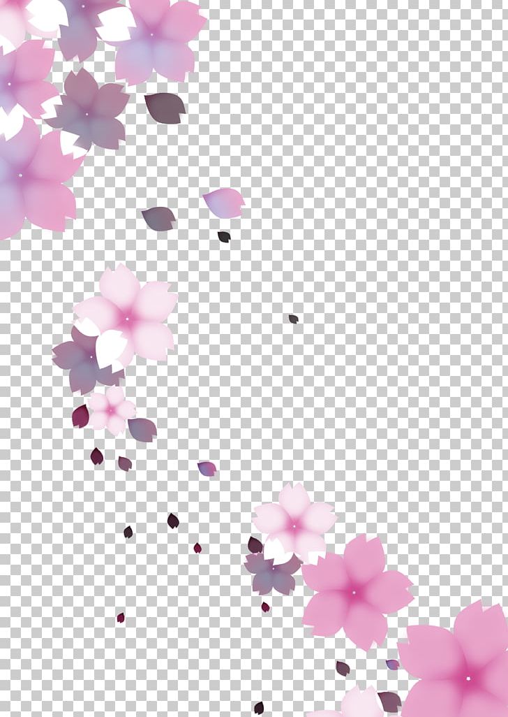 Cherry Blossom Cerasus PNG, Clipart, Adobe Illustrator, Blossom, Blossoms, Cerasus, Cherry Free PNG Download