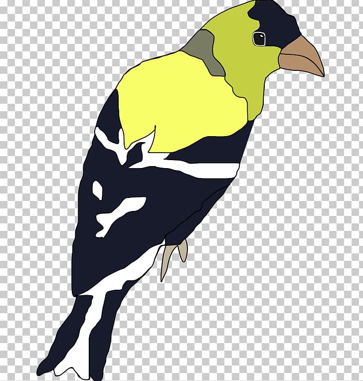 Finches Bird Of Prey Beak PNG, Clipart, Animals, Art, Beak, Bird, Bird Of Prey Free PNG Download