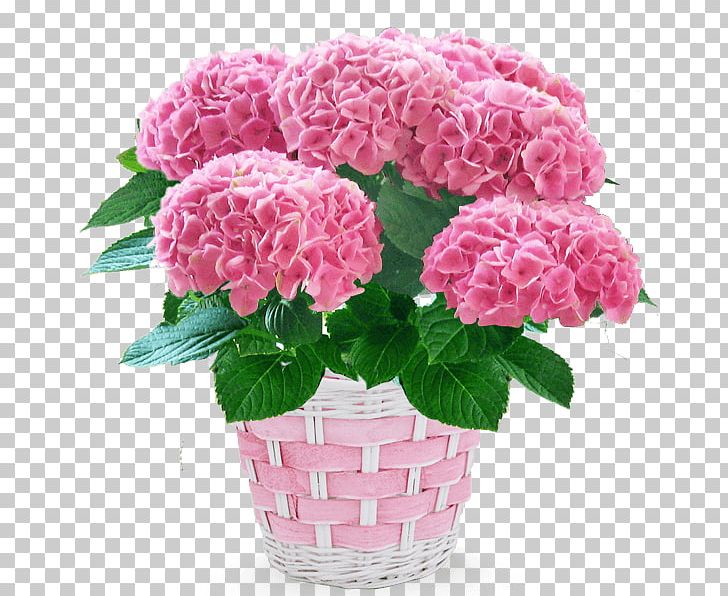 French Hydrangea Carnation Cut Flowers Flowerpot PNG, Clipart,  Free PNG Download