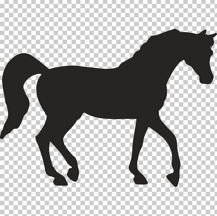 Horse Stencil PNG, Clipart, Animal Figure, Animals, Black And White, Bridle, Colt Free PNG Download