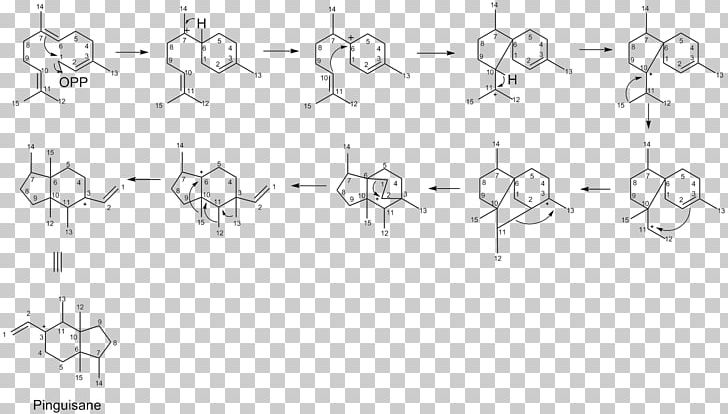 Science White Sketch PNG, Clipart, Angle, Area, Artwork, Black And White, Body Jewellery Free PNG Download