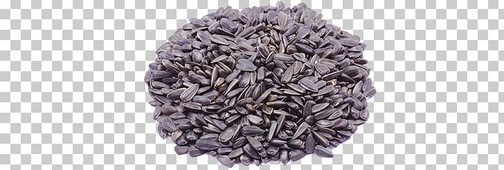 Common Sunflower Sunflower Seed PNG, Clipart, Art, Commodity, Common Sunflower, Drawing, Food Free PNG Download