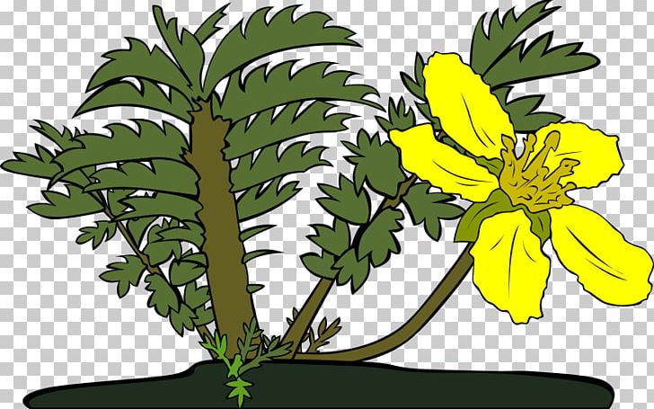 Drawing PNG, Clipart, Branch, Computer Icons, Cut Flowers, Desktop Wallpaper, Download Free PNG Download