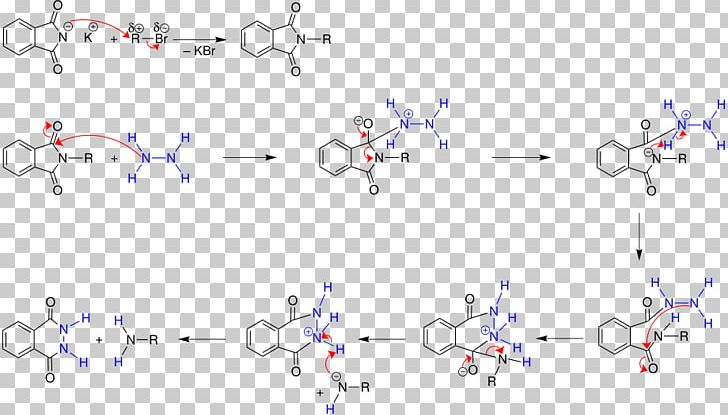 Gabriel Synthesis Organic Chemistry Name Reaction Text PNG, Clipart, Angle, Area, Blue, Body Jewellery, Body Jewelry Free PNG Download