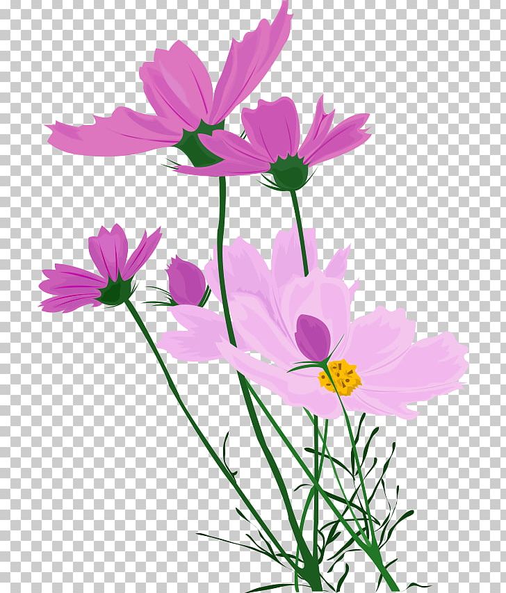 Wildflower PNG, Clipart, Annual Plant, Chrysanths, Color, Cosmos, Cut Flowers Free PNG Download
