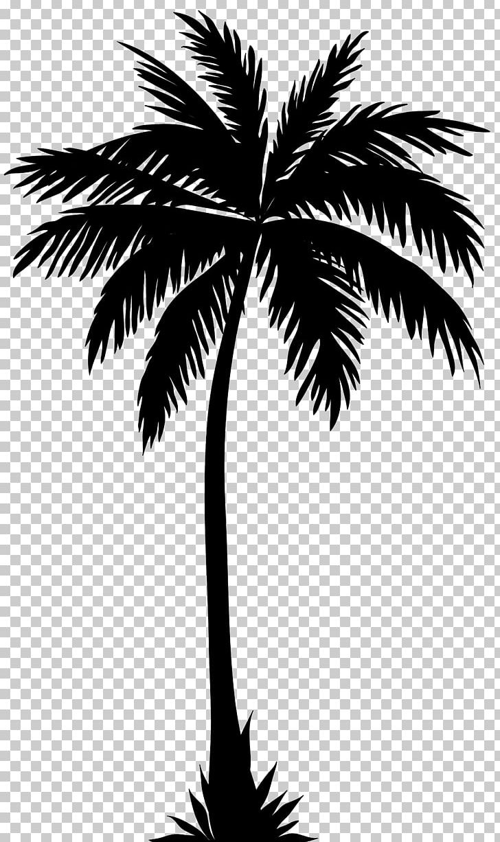 Arecaceae Silhouette Tree PNG, Clipart, Arecaceae, Arecales, Art, Black And White, Borassus Flabellifer Free PNG Download