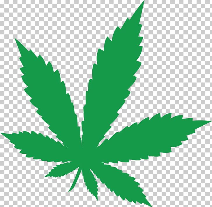 Cannabis Sativa Leaf Cannabaceae PNG, Clipart, Cannabaceae, Cannabis, Cannabis Ruderalis, Cannabis Sativa, Chanvre Free PNG Download