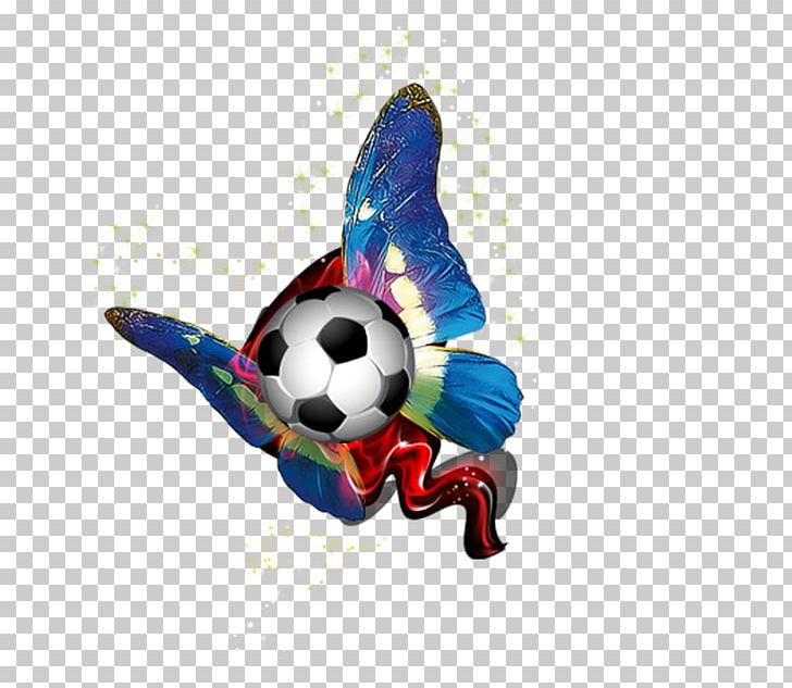 Europe Football PNG, Clipart, Butterfly, Computer, Computer Wallpaper, Cup, Download Free PNG Download