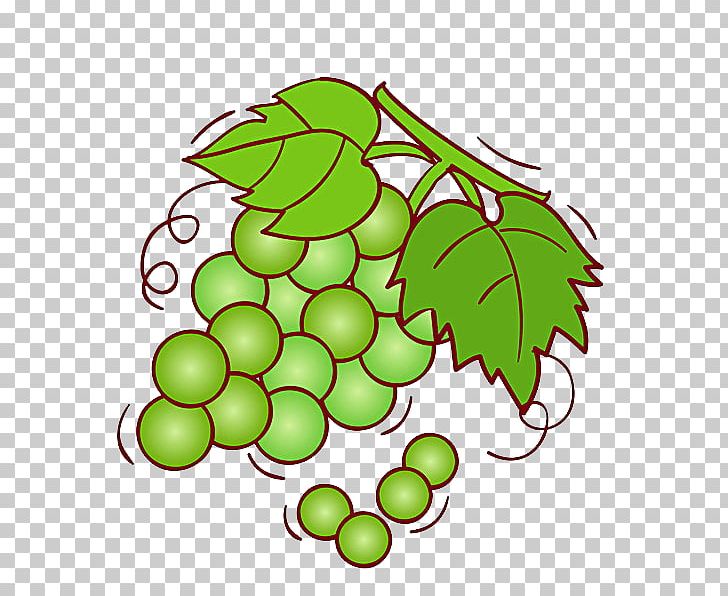 Grape Wine Shine Muscat Fruit Illustration PNG, Clipart, Branch, Chilled Shopping, Common Grape Vine, Crystal Ball, Food Free PNG Download
