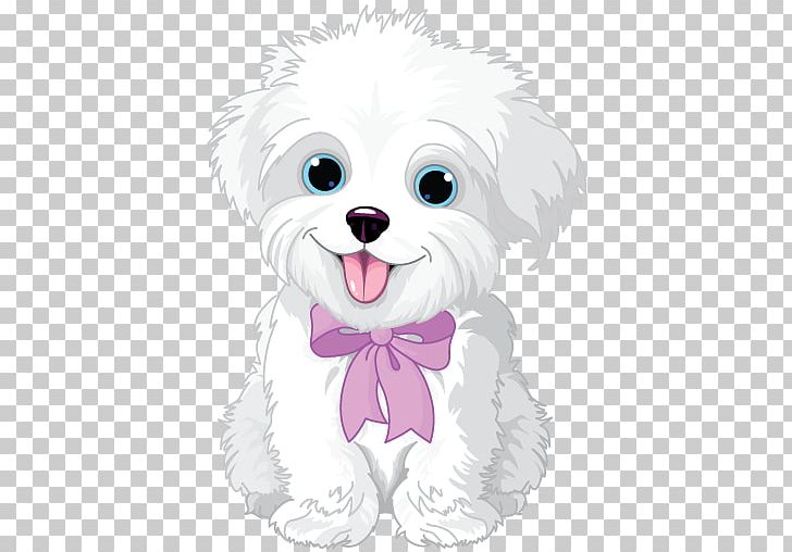 Havanese Dog Maltese Dog Puppy Bichon Frise PNG, Clipart, Animals, Bichon, Carnivoran, Cartoon, Companion Dog Free PNG Download