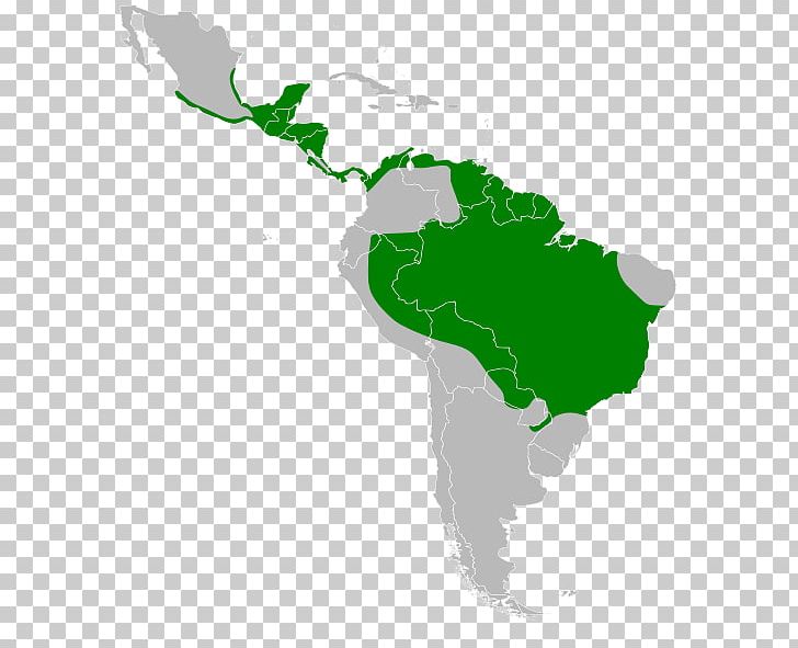 Latin America South America United States Region Geography PNG, Clipart, Americas, Animalia, Area, Central America, Country Free PNG Download