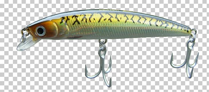 Perch Spoon Lure Osmeriformes Fish AC Power Plugs And Sockets PNG, Clipart, Ac Power Plugs And Sockets, Bait, Bony Fish, Fish, Fishing Bait Free PNG Download