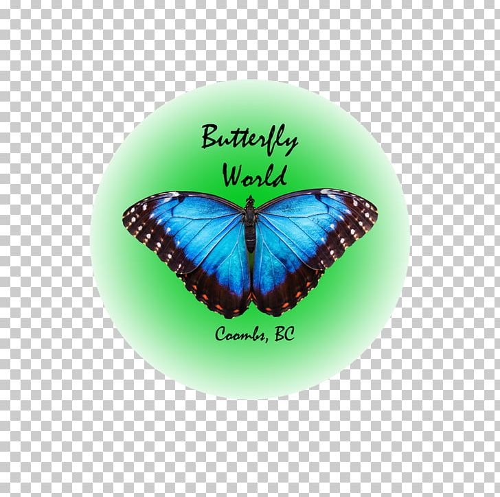 Butterfly World PNG, Clipart,  Free PNG Download