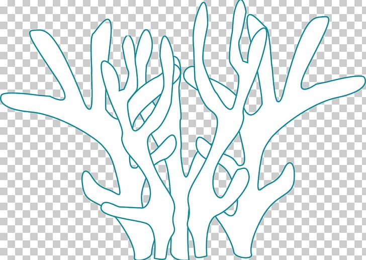 Coral Reef Animals Coloring Book Coral Reef Fish PNG, Clipart, Animal, Area, Black And White, Branch, Color Free PNG Download