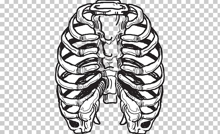 Drawing Bone Art Rib PNG, Clipart, Arm, Art, Black And White, Bone, Diagram Free PNG Download