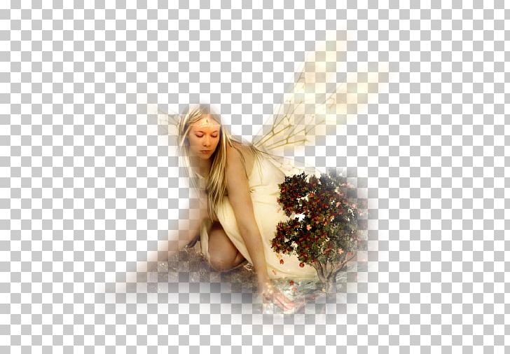 Fairy Féerie Myth Character Angel PNG, Clipart, 1213, 1920, 2018, Angel, Anime Free PNG Download