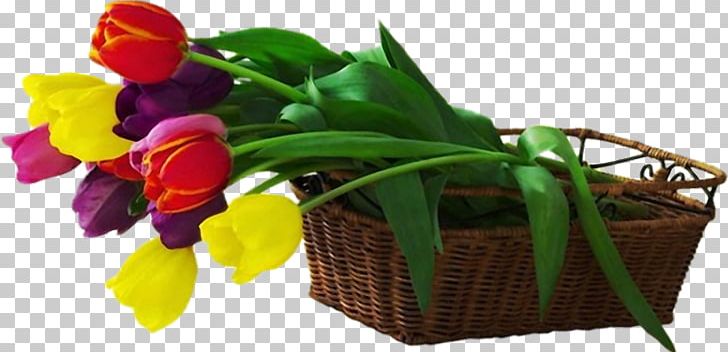 France Cabinet De Dermatologie Dr BENHIBA Hind Dermatology Friendship Skin PNG, Clipart, Artificial Flower, Baskets, Child, Color, Color Flowers Free PNG Download