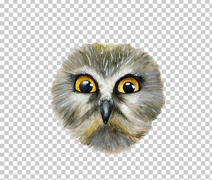 Snowy Owl Eurasian Eagle-owl Eurasian Scops Owl PNG, Clipart, Beak, Bird, Bird Of Prey, Boreal Owl, Eurasian Eagleowl Free PNG Download