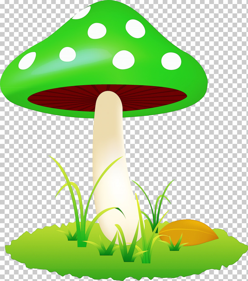 Mushroom PNG, Clipart, Grass, Green, Mushroom, Plant, Plant Stem Free PNG Download