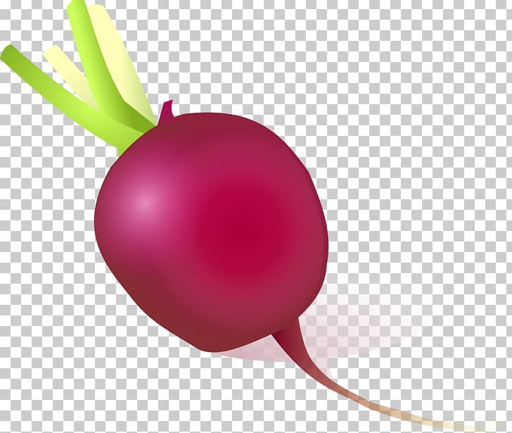 Beetroot Vegetable PNG, Clipart, Beet, Beetroot, Chili, Flower, Food Free PNG Download