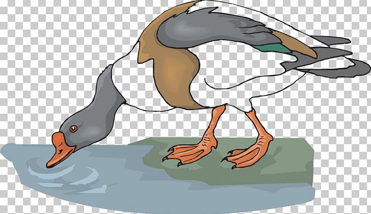 Goose Drinking Water Animal PNG, Clipart, Alcohol Drink, Alcoholic Drink, Alcoholic Drinks, Animal, Animals Free PNG Download