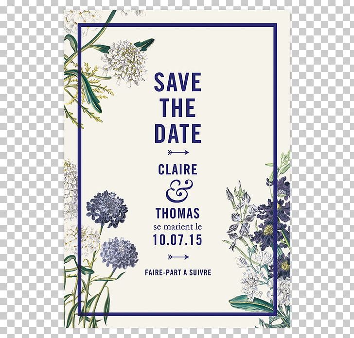 Wedding Invitation Floral Design Botanical Garden Save The Date Botany PNG, Clipart, Botanical Garden, Botany, Branch, Convite, Cut Flowers Free PNG Download