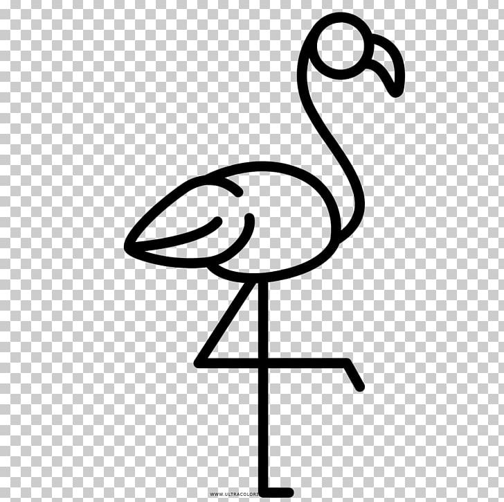 Black And White Flamingos . Greater Flamingo Drawing Beak PNG, Clipart,  Area, Art, Artwork, Beak, Bird