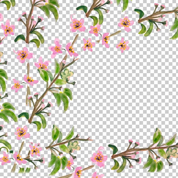Flower Adobe Illustrator PNG, Clipart, Branch, Cherry, Family Tree, Flower, Flower Arranging Free PNG Download
