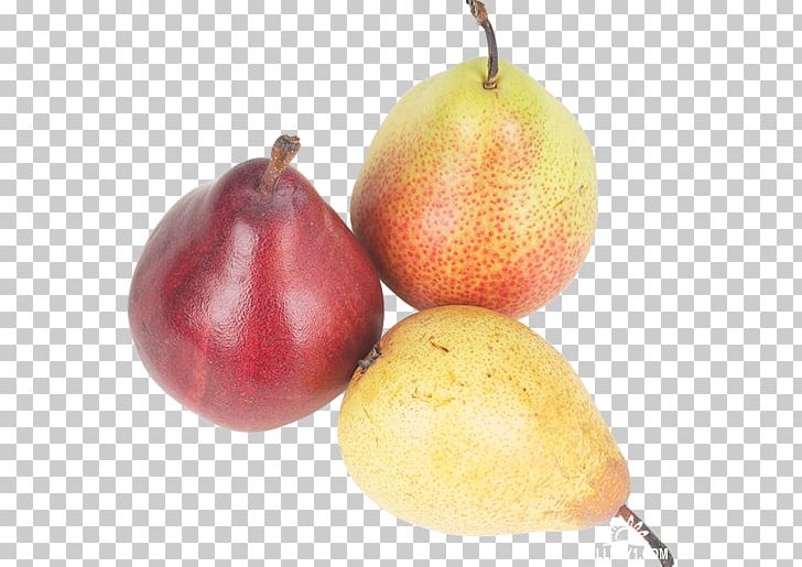 Pear Accessory Fruit Natural Foods PNG, Clipart, Accessory Fruit, Food, Fruit, Fruit Nut, Natural Foods Free PNG Download
