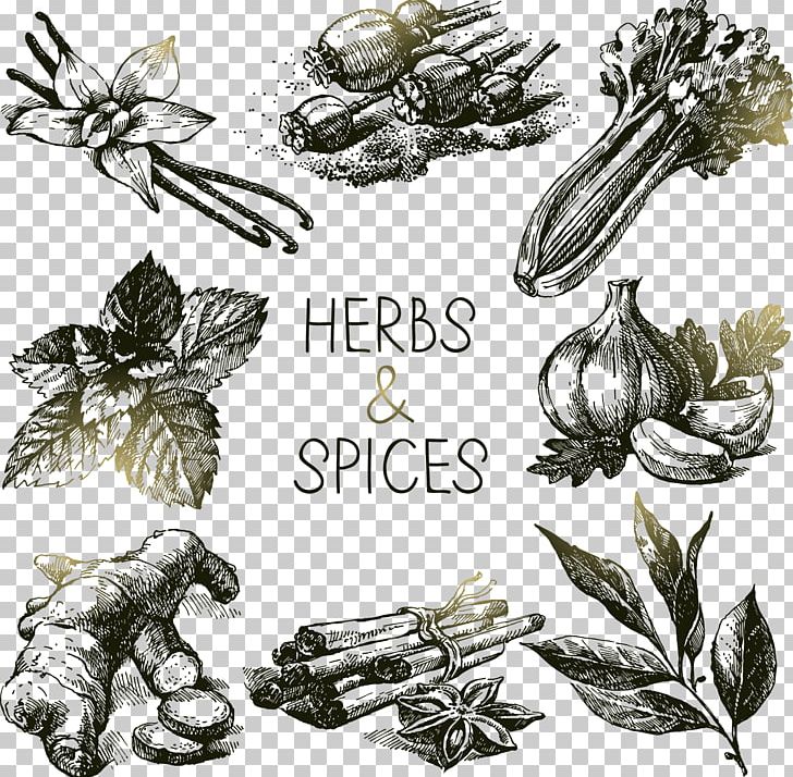 Spice Herb Drawing PNG, Clipart, Aromatic Herbs, Black And White, Float, Floating Island, Floating Petals Free PNG Download