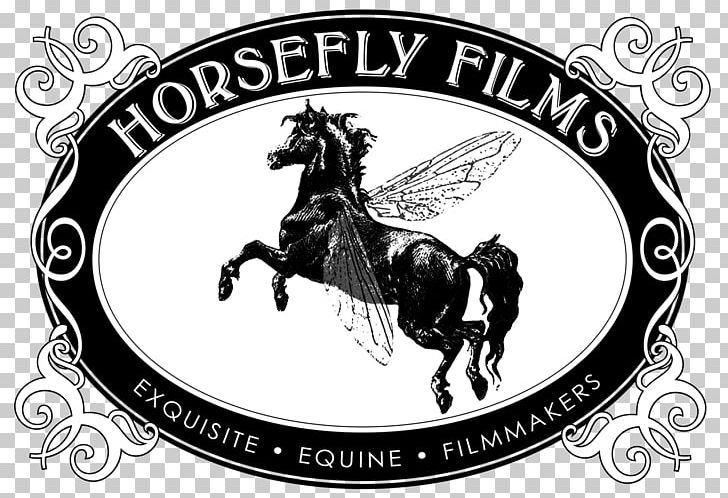 Camarillo White Horse EQUUS Film Festival Film Director PNG, Clipart, 15 June, Black And White, Brand, California, Camarillo Free PNG Download